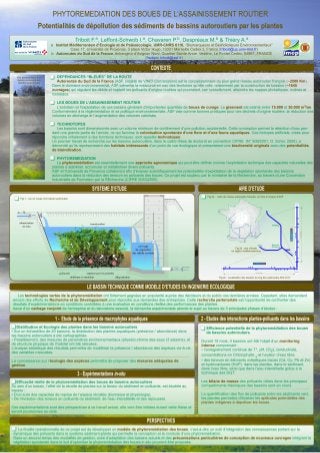 Potentialités de dépollution des sédiments de bassins autoroutiers par les plantes