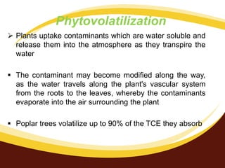 Phytovolatilization
 Plants uptake contaminants which are water soluble and
release them into the atmosphere as they transpire the
water
 The contaminant may become modified along the way,
as the water travels along the plant's vascular system
from the roots to the leaves, whereby the contaminants
evaporate into the air surrounding the plant

 Poplar trees volatilize up to 90% of the TCE they absorb

 