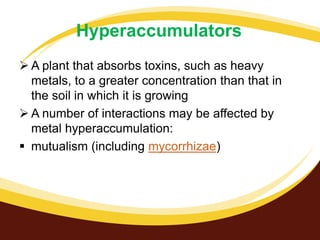 Hyperaccumulators
 A plant that absorbs toxins, such as heavy
metals, to a greater concentration than that in
the soil in which it is growing
 A number of interactions may be affected by
metal hyperaccumulation:
 mutualism (including mycorrhizae)

 