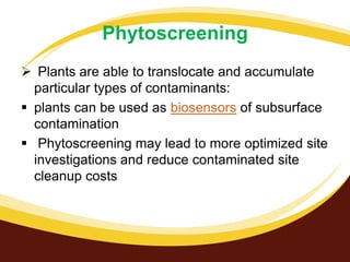 Phytoscreening
 Plants are able to translocate and accumulate
particular types of contaminants:
 plants can be used as biosensors of subsurface
contamination
 Phytoscreening may lead to more optimized site
investigations and reduce contaminated site
cleanup costs

 
