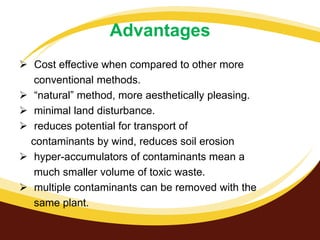 Advantages
 Cost effective when compared to other more
conventional methods.
 “natural” method, more aesthetically pleasing.
 minimal land disturbance.
 reduces potential for transport of
contaminants by wind, reduces soil erosion
 hyper-accumulators of contaminants mean a
much smaller volume of toxic waste.
 multiple contaminants can be removed with the
same plant.

 