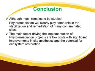 Conclusion
 Although much remains to be studied,
Phytoremediation will clearly play some role in the
stabilization and remediation of many contaminated
sites.
 The main factor driving the implementation of
Phytoremediation projects are low costs with significant
improvements in site aesthetics and the potential for
ecosystem restoration.

 