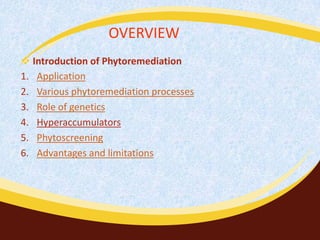 OVERVIEW
 Introduction of Phytoremediation
1. Application
2. Various phytoremediation processes
3. Role of genetics
4. Hyperaccumulators
5. Phytoscreening
6. Advantages and limitations

 