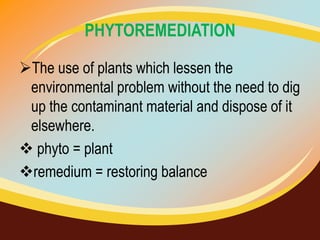 PHYTOREMEDIATION
The use of plants which lessen the
environmental problem without the need to dig
up the contaminant material and dispose of it
elsewhere.
 phyto = plant
remedium = restoring balance

 