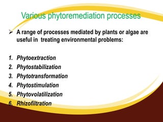 Various phytoremediation processes
 A range of processes mediated by plants or algae are
useful in treating environmental problems:
1.
2.
3.
4.
5.
6.

Phytoextraction
Phytostabilization
Phytotransformation
Phytostimulation
Phytovolatilization
Rhizofiltration

 