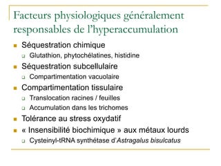 Facteurs physiologiques généralement
responsables de l’hyperaccumulation
 Séquestration chimique
 Glutathion, phytochélatines, histidine
 Séquestration subcellulaire
 Compartimentation vacuolaire
 Compartimentation tissulaire
 Translocation racines / feuilles
 Accumulation dans les trichomes
 Tolérance au stress oxydatif
 « Insensibilité biochimique » aux métaux lourds
 Cysteinyl-tRNA synthétase d’Astragalus bisulcatus
 