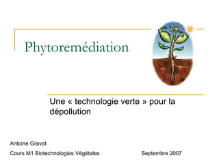 Phytoremédiation
Une « technologie verte » pour la
dépollution
Antoine Gravot
Cours M1 Biotechnologies Végétales Septembre 2007
 