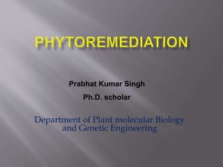 Department of Plant molecular Biology
and Genetic Engineering
Prabhat Kumar Singh
Ph.D. scholar
 