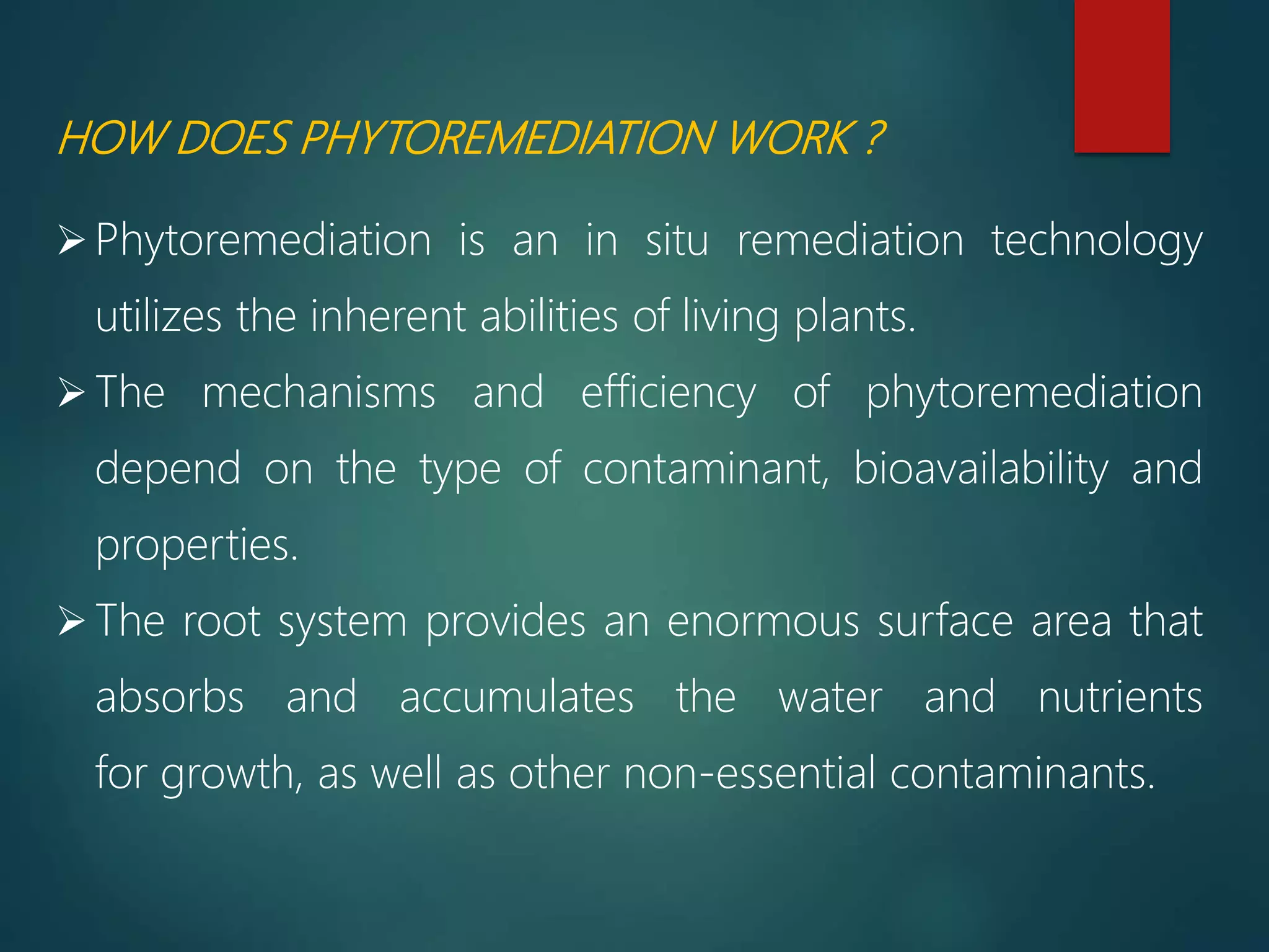 HOW DOES PHYTOREMEDIATION WORK ?
Phytoremediation is an in situ remediation technology
utilizes the inherent abilities of living plants.
The mechanisms and efficiency of phytoremediation
depend on the type of contaminant, bioavailability and
properties.
The root system provides an enormous surface area that
absorbs and accumulates the water and nutrients
for growth, as well as other non-essential contaminants.
 