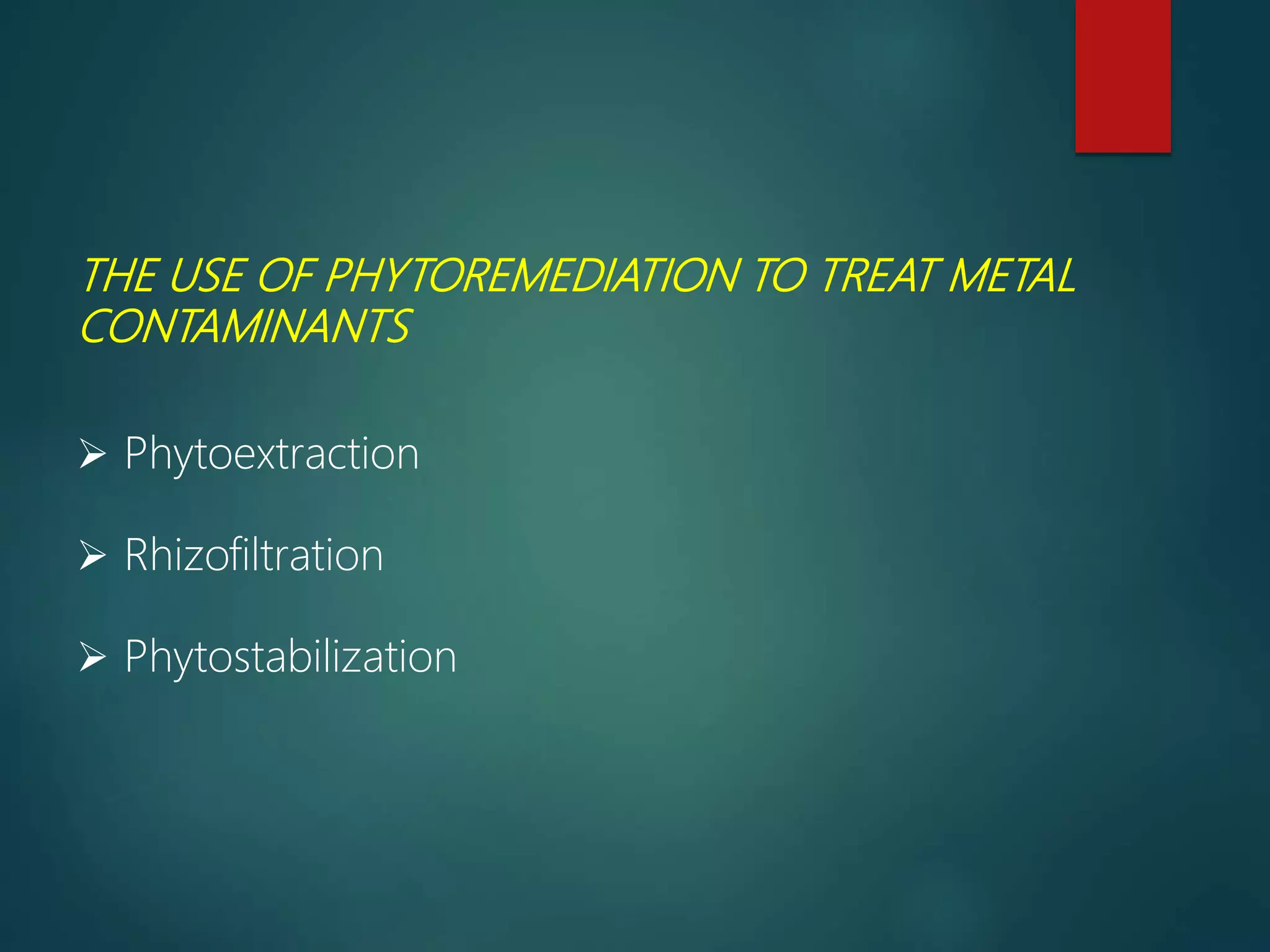 THE USE OF PHYTOREMEDIATION TO TREAT METAL
CONTAMINANTS
 Phytoextraction
 Rhizofiltration
 Phytostabilization
 