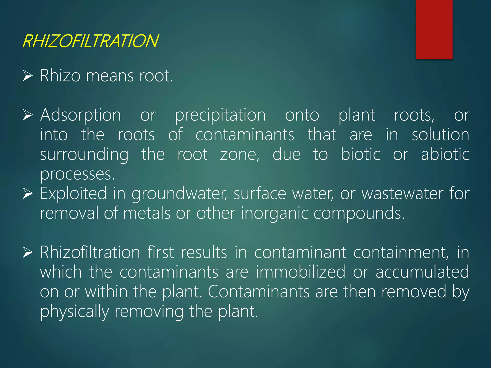 RHIZOFILTRATION
 Rhizo means root.
 Adsorption or precipitation onto plant roots, or
into the roots of contaminants that are in solution
surrounding the root zone, due to biotic or abiotic
processes.
 Exploited in groundwater, surface water, or wastewater for
removal of metals or other inorganic compounds.
 Rhizofiltration first results in contaminant containment, in
which the contaminants are immobilized or accumulated
on or within the plant. Contaminants are then removed by
physically removing the plant.
 
