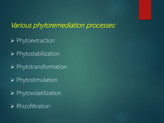 Various phytoremediation processes:
 Phytoextraction
 Phytostabilization
 Phytotransformation
 Phytostimulation
 Phyt...