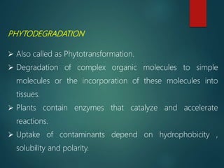 RHIZODEGRADATION
 Also called phytostimulation or plant assisted
bioremediation/degradation.
 Symbiotic relationship
 N...