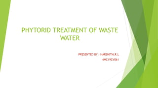 PHYTORID TREATMENT OF WASTE
WATER
PRESENTED BY : HARSHITH.R.L
4MC19CV061
 