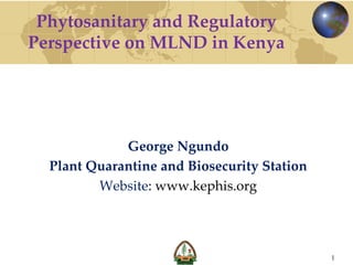 Phytosanitary and Regulatory
Perspective on MLND in Kenya
George Ngundo
Plant Quarantine and Biosecurity Station
Website: www.kephis.org
1
 