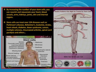 ❖ By increasing the number of your stem cells, you
can nourish and rejuvenate your heart, blood
vessels, arms, kidneys, joints, skin and internal
organs.
❖ Stem cells can treat over 134 diseases such as
Parkinson's disease, Alzheimer's, leukemia, stroke,
heart attack, diabetes, down syndrome, cancer,
multiple sclerosis, rheumatoid arthritis, spinal cord
paralysis and others…
 
