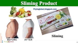 Elite Legacy
Sliming
 