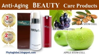 APPLE STEM CELL
ARGAN STEM CELL
GRAPE STEM CELL
Anti-Aging BEAUTY Care Products
 