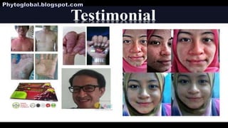 Phytoscience  (opp)   