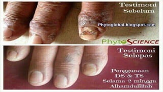Phytoscience  (opp)   
