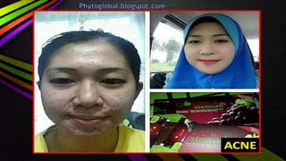 Phytoscience  (opp)   