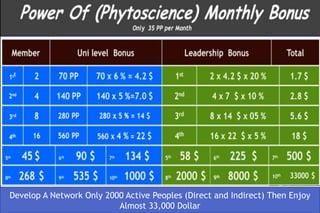 Elite Legacy
Develop A Network Only 2000 Active Peoples (Direct and Indirect) Then Enjoy
Almost 33,000 Dollar
 