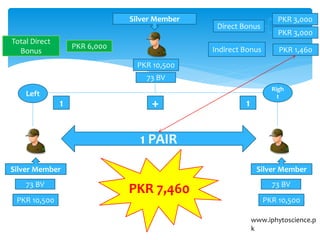 www.iphytoscience.p
k
Silver Member
73 BV
Silver Member
73 BV
PKR 10,500
PKR 10,500
Silver Member
73 BV
PKR 10,500
PKR 3,000
PKR 3,000
Direct Bonus
Indirect Bonus PKR 1,460
Total Direct
Bonus
PKR 6,000
Left
Righ
t
1 PAIR
1 1+
PKR 7,460
 