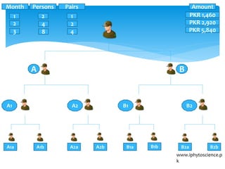 www.iphytoscience.p
k
A B
A1 A2 B1 B2
A1a A1b B1a B1bA2a A2b B2a B2b
Month Persons Pairs
1 2 1
2 4 2
3 8 4
Amount
PKR 1,460
PKR 2,920
PKR 5,840
 