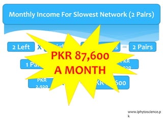 www.iphytoscience.p
k
2 Left 2 RightX 4 Members 2 Pairs
Monthly Income For Slowest Network (2 Pairs)
1 Pair PKR 1,460 X 2 PKR
2,920
PKR
2,920
X 30 PKR 87,600
 