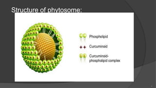 Structure of phytosome:
4
 