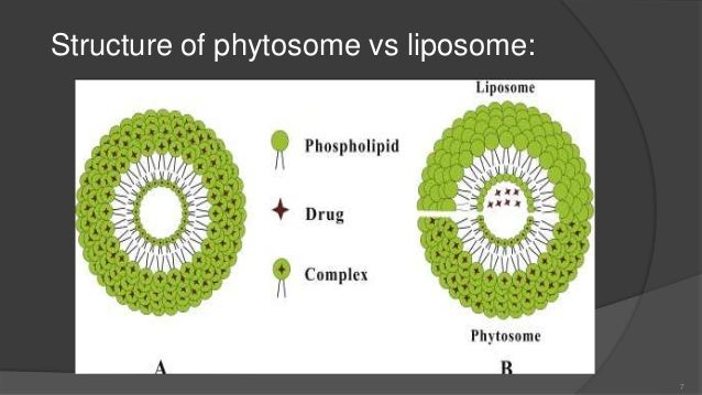 Phytosome