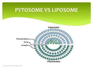 Phytosome
