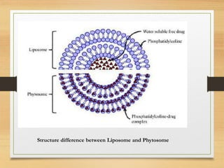 Structure difference between Liposome and Phytosome
 