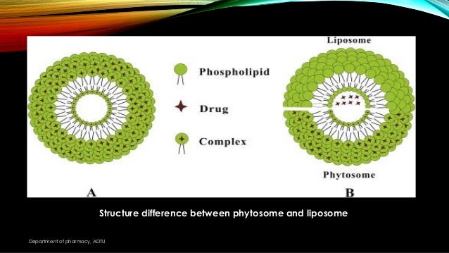 Phytosome