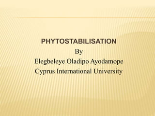 PHYTOSTABILISATION
By
Elegbeleye Oladipo Ayodamope
Cyprus International University
 