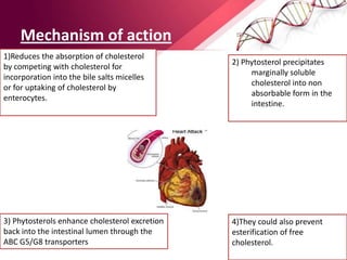 Mechanism of action
2) Phytosterol precipitates
marginally soluble
cholesterol into non
absorbable form in the
intestine.
1)Reduces the absorption of cholesterol
by competing with cholesterol for
incorporation into the bile salts micelles
or for uptaking of cholesterol by
enterocytes.
3) Phytosterols enhance cholesterol excretion
back into the intestinal lumen through the
ABC G5/G8 transporters
4)They could also prevent
esterification of free
cholesterol.
 