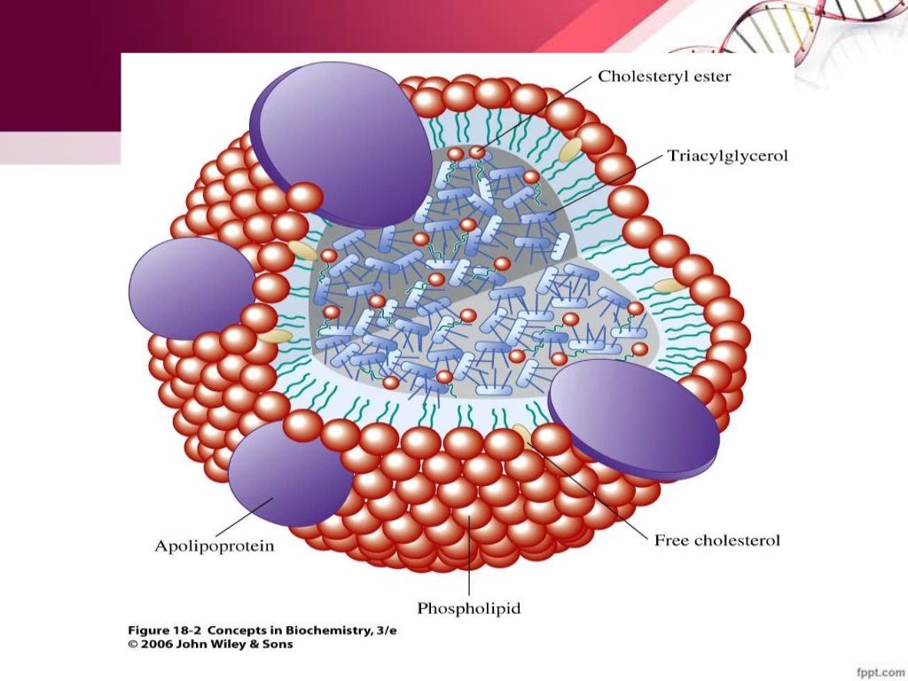 Phytosterols