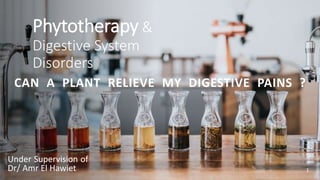 Phytotherapy &
Digestive System
Disorders
Under Supervision of
Dr/ Amr El Hawiet
CAN A PLANT RELIEVE MY DIGESTIVE PAINS ?
1
 