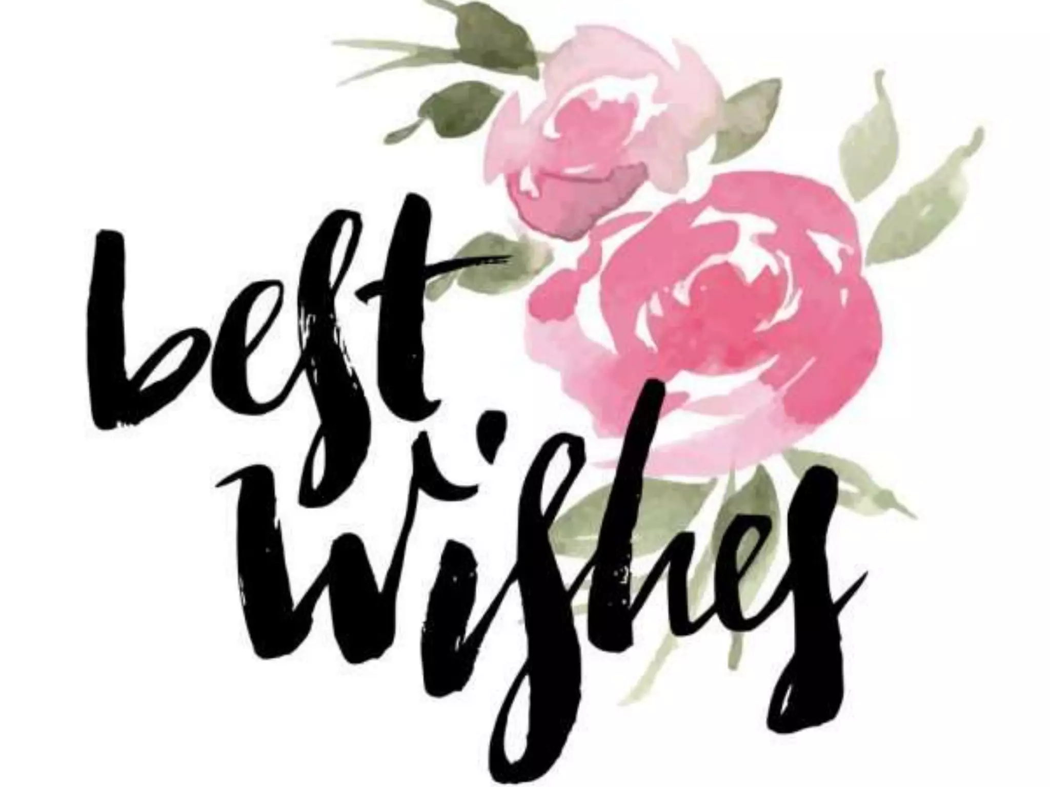 Introduction of Phytotherapy 