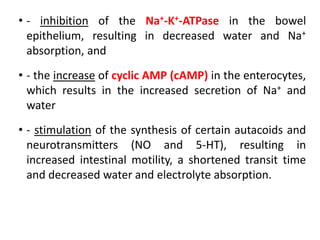 • - inhibition of the Na+-K+-ATPase in the bowel
epithelium, resulting in decreased water and Na+
absorption, and
• - the increase of cyclic AMP (cAMP) in the enterocytes,
which results in the increased secretion of Na+ and
water
• - stimulation of the synthesis of certain autacoids and
neurotransmitters (NO and 5-HT), resulting in
increased intestinal motility, a shortened transit time
and decreased water and electrolyte absorption.
 