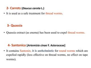 2- Carrots (Daucus carota L.)
• It is used as a safe treatment for thread worms.
3- Quassia
• Quassia extract (as enema) has been used to expel thread worms.
4- Santonica [Artemisia cinae F. Asteraceae]
• It contains Santonin, it is anthelmintic for round worms which are
expelled rapidly (less effective on thread worms, no effect on tape
worms).
 
