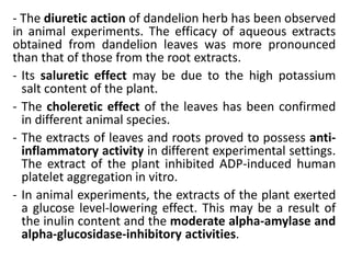 - The diuretic action of dandelion herb has been observed
in animal experiments. The efficacy of aqueous extracts
obtained from dandelion leaves was more pronounced
than that of those from the root extracts.
- Its saluretic effect may be due to the high potassium
salt content of the plant.
- The choleretic effect of the leaves has been confirmed
in different animal species.
- The extracts of leaves and roots proved to possess anti-
inflammatory activity in different experimental settings.
The extract of the plant inhibited ADP-induced human
platelet aggregation in vitro.
- In animal experiments, the extracts of the plant exerted
a glucose level-lowering effect. This may be a result of
the inulin content and the moderate alpha-amylase and
alpha-glucosidase-inhibitory activities.
 