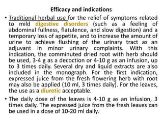 Efficacy and indications
• Traditional herbal use for the relief of symptoms related
to mild digestive disorders (such as a feeling of
abdominal fullness, flatulence, and slow digestion) and a
temporary loss of appetite, and to increase the amount of
urine to achieve flushing of the urinary tract as an
adjuvant in minor urinary complaints. With this
indication, the comminuted dried root with herb should
be used, 3-4 g as a decoction or 4-10 g as an infusion, up
to 3 times daily. Several dry and liquid extracts are also
included in the monograph. For the first indication,
expressed juice from the fresh flowering herb with root
may also be applied (10 ml, 3 times daily). For the leaves,
the use as a diuretic acceptable.
• The daily dose of the leaves is 4-10 g as an infusion, 3
times daily. The expressed juice from the fresh leaves can
be used in a dose of 10-20 ml daily.
 