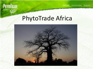 PhytoTrade Africa  