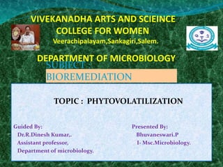 VIVEKANADHA ARTS AND SCIEINCE
COLLEGE FOR WOMEN
Veerachipalayam,Sankagiri,Salem.
DEPARTMENT OF MICROBIOLOGY
TOPIC : PHYTOVOLATILIZATION
Guided By: Presented By:
Dr.R.Dinesh Kumar,. Bhuvaneswari.P
Assistant professor, I- Msc.Microbiology.
Department of microbiology.
SUBJECT :
BIOREMEDIATION
 