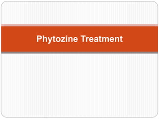 Phytozine Treatment
 