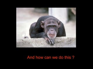 And how can we do this ? 