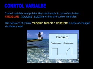 Control variable manipulates the conditionals to cause inspiration. PRESSURE  ,  VOLUME  ,  FLOW  and time are control variables. The behavior of control  Variable remains constant  in spite of changed  Ventilatory load.  CONRTOL VARIALBE Pressure  Rectangular  Exponential  
