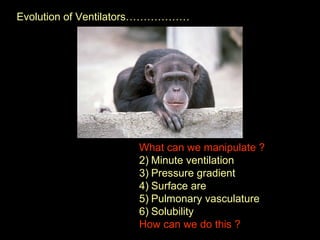 Evolution of Ventilators……………… What can we manipulate ?   Minute ventilation Pressure gradient  Surface are  Pulmonary vasculature  Solubility How can we do this ? 
