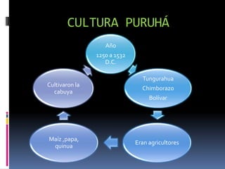 CULTURA PURUHÁ